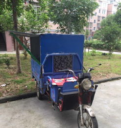 电瓶三轮车 实用与经济的出行选择