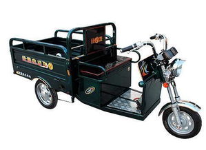 金枫王电动三轮车水电瓶价格解析